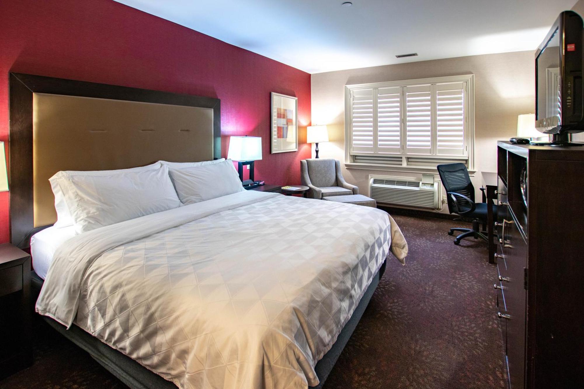 Holiday Inn Hotel & Suites St.Catharines-Niagara By Ihg Saint Catharines Exterior foto